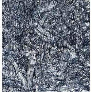 【レコード】SHING02 &amp; TERRACOTTA - DAPPI / ECDYSIS 12" J...