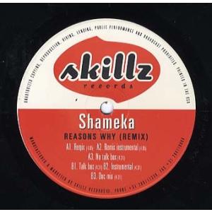【レコード】SHAMEKA - REASONS WHY-REMIX 12" US 1999年リリース