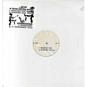 【レコード】A Tribe Called Quest / Consequence - WANTING...