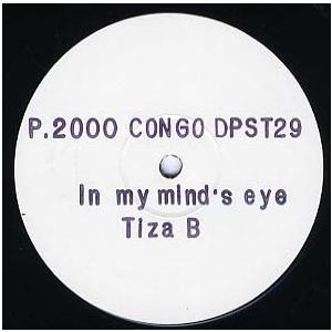 【レコード】TIZA B - IN MY MIND&apos;S EYE (UK) 12&quot; UK 2000年リ...