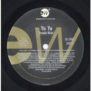 レコード】NIGO feat BIZ MARKIE - SOMETHING FOR THE PEOPLE (JPN) 12