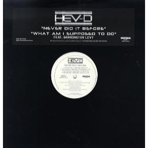 【レコード】HEAVY D(HEV-D) ft Barrington Levy - Never Di...