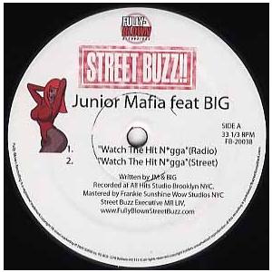 レコード】JUNIOR MAFIA feat The Notorious B.I.G. - WATCH THE