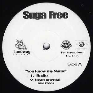 【レコード】SUGA FREE - YOU KNOW MY NAME 12&quot; US 2005年リリー...