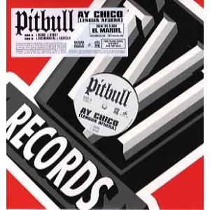 【レコード】PITBULL - AY CHICO (Produced By Mr.Collipark...