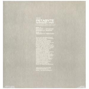 レコード】KANDYTOWN - BLAKK MOTEL 2xLP JAPAN 2019年リリース