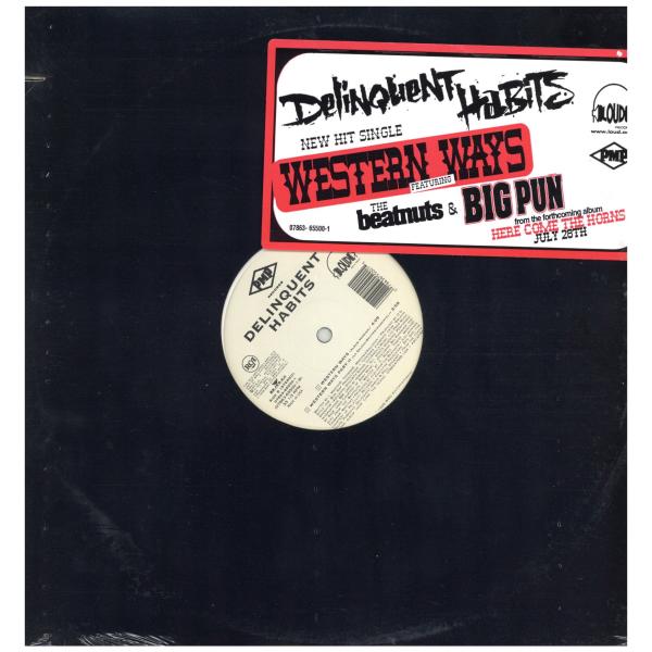 【レコード】DELINQUENT HABITS feat Big Pun &amp; Beatnuts - ...