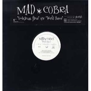 PUSHIM VIBES UP 12インチシングル レコード】PUSHIM feat Jumbo Maatch - VIBES UP 12
