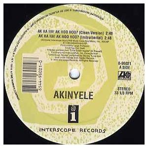 【レコード】AKINYELE - AK HA HA! AK HOO HOO? 12" US 1993年リリース｜freaksrecords-2