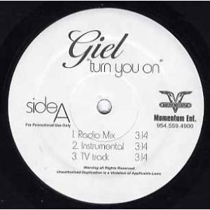 【レコード】GIEL - TURN YOU ON / REPLACED 12