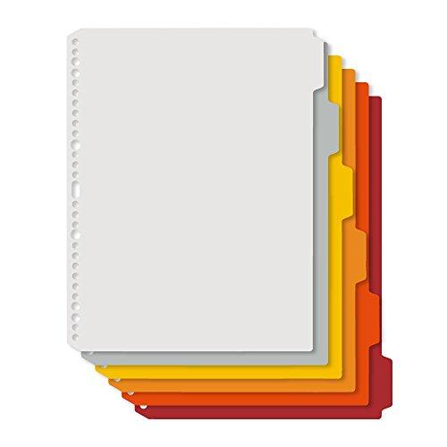 プラス インデックスシート PP製 4・30穴 A4縦 デジャヴ 89-427 ウォームトーン