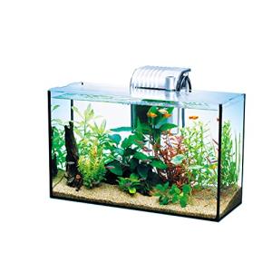 テトラ (Tetra) ガラス 水槽 オールグラスアクアリウム GA-420F 水槽 熱帯魚 メダカ 金魚｜free-store78