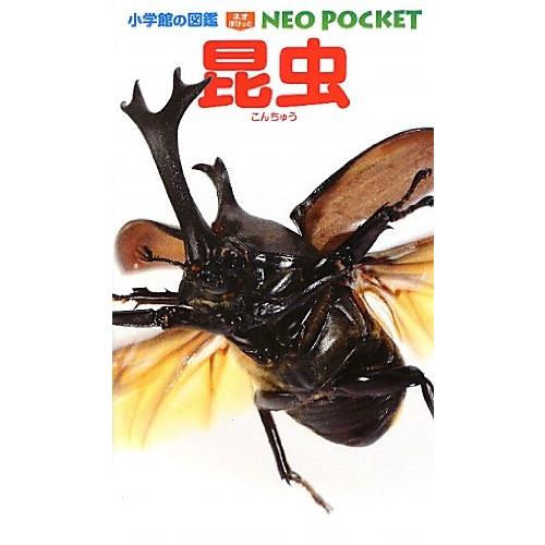 昆虫 (小学館の図鑑 NEOポケット)