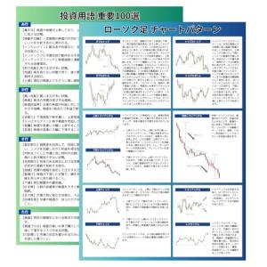 A4下敷き ローソク足 チャート分析 投資用語 初心者向け FX 株式投資 NISA オルカン S＆P500 (2枚セット(100円引き))