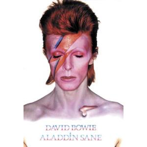 ポスター David Bowie Aladdin Sane アルバム ロックポスター デヴィッド・ボ...