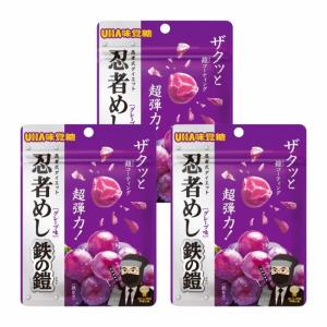 3袋セット UHA味覚糖 忍者めし 鉄の鎧 グレープ味 40g ハード食感 グミ ぐみ｜カウカウSTORE