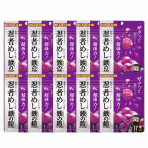 10袋セット UHA味覚糖 忍者めし 鉄の鎧 グレープ味 40g ハード食感 グミ ぐみ｜free-world