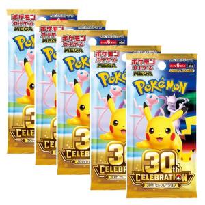 30th CELEBRATION 30周年記念BOX 最初のパートナー セレブレーション