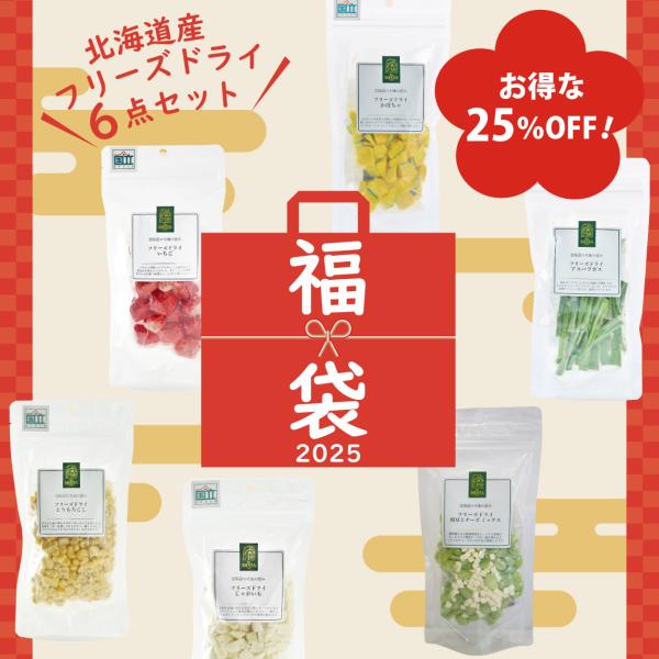 福袋 犬 おやつ 国産 無添加 フリーズドライ 北海道産 野菜 フルーツ いちご かぼちゃ じゃがい...