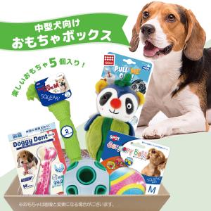 犬 おもちゃ 犬おもちゃ 中型犬 セット 送料無料 ロープ ボール オモチャ ギフト プレゼント デンタル 犬用 福袋 おもちゃボックス 中型犬用