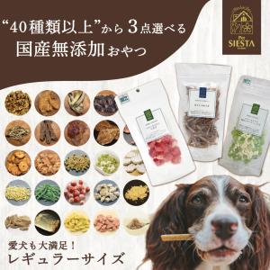 【レビュープレゼントキャンペーン開催中！】犬 おやつ 無添加 国産  ギフト フリーズドライ 野菜 フルーツ 鶏 豚 魚 鹿肉 犬おやつ 選べるおやつ 3種類