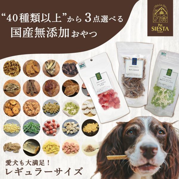 【レビュープレゼントキャンペーン開催中！】犬 おやつ 無添加 国産 ギフト フリーズドライ 野菜 フ...