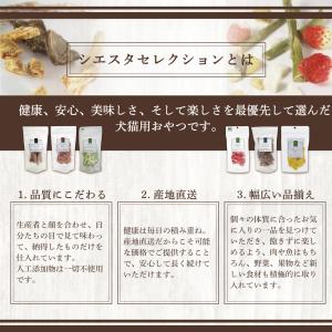 犬 おやつ 無添加 国産 福袋 ギフト レギュ...の詳細画像1