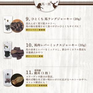 犬 おやつ 無添加 国産 福袋 ギフト レギュ...の詳細画像3
