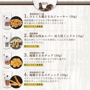 犬 おやつ 無添加 国産 福袋 ギフト レギュ...の詳細画像3