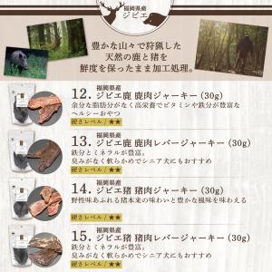 犬 おやつ 無添加 国産 福袋 ギフト レギュ...の詳細画像4