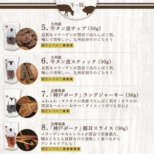 犬 おやつ 無添加 国産 福袋 ギフト レギュ...の詳細画像4