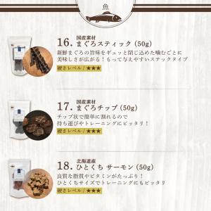 犬 おやつ 無添加 国産 福袋 ギフト レギュ...の詳細画像5