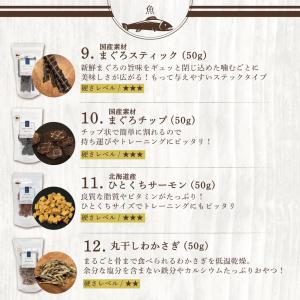 犬 おやつ 無添加 国産 福袋 ギフト レギュ...の詳細画像5