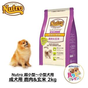 【お取り寄せ】ドッグフード 犬 ごはん ドライ プロテインシリーズ ニュートロ Nutro ナチュラルチョイス 超小型犬〜小型犬用 成犬用 鹿肉&amp;玄米 2kg NC78765