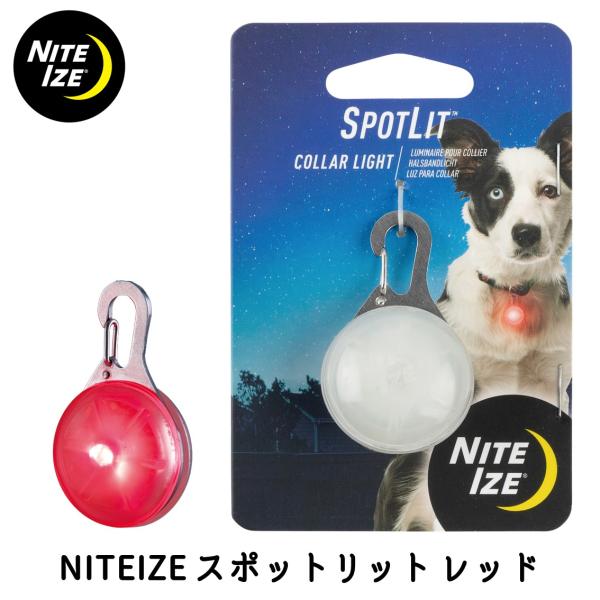 犬 散歩 LED お散歩ライト NITEIZE ナイトアイズ スポットリット レッド