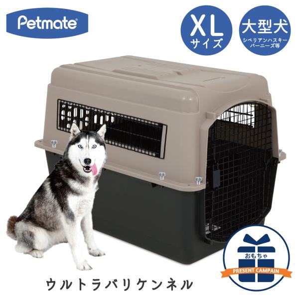 ハードキャリー 犬 クレート ハードクレート キャリー キャリーケース コンテナ 大型犬 P500 ...