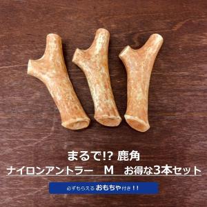 鹿の角 犬 危険 ペット用品 生き物 の商品一覧 通販 Yahoo ショッピング