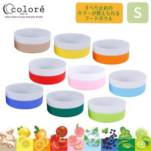 ペット 犬 食器 陶器 プラッツ コローレ 滑り止め 動物園 テレビ PLATZ Colore S セット