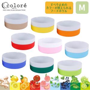 ペット 犬 食器 陶器 プラッツ コローレ 滑り止め 動物園 テレビ PLATZ Colore M セット
