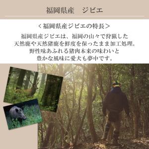 犬 おやつ 無添加 ジャーキー 犬用 猫 猫用...の詳細画像1