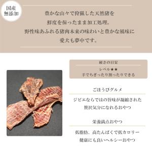 犬 おやつ 無添加 ジャーキー 犬用 猫 猫用...の詳細画像2