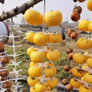 プラスチック製 吊るし柿用ラック 家庭用 干し...の詳細画像1