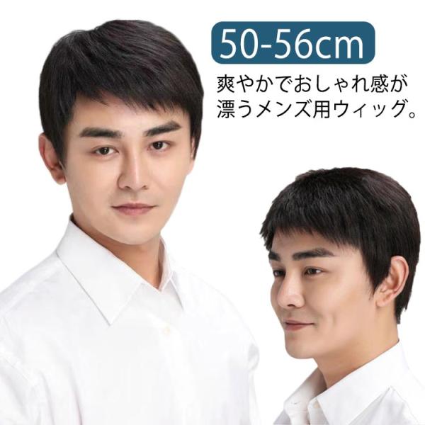 薄毛 メンズ 黒髪 男性 つけ毛 カツラ 爽やか ウィッグ 増毛 フルウィッグ 白髪隠し レイヤーカ...