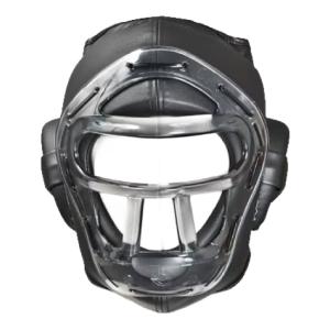 isami イサミ TT-300 レギュラーヘ...の詳細画像1