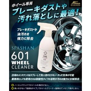 SPASHAN（スパシャン） 新作 アイアンバスター9.5 鉄粉除去剤 容量