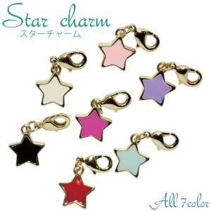 チャームパーツ モチーフ ゴールドカラー 手作り マスクチャーム