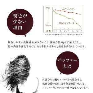 ● ナンバースリー プロアクション フォーシー...の詳細画像2