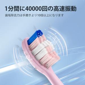 JTF 電動歯ブラシ 音波歯ブラシ 歯ブラシ P200 ソニック 電動歯磨き USB充電式 替えブラ...