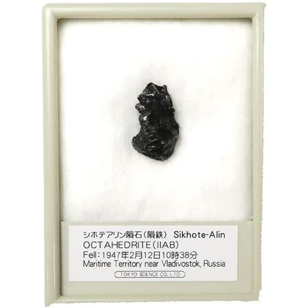 SCIENCE シホテアリン隕石　隕鉄 SikhoteAlin Meteorite 約3.54.4g...