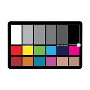 DGK Color Tools WDKK 防水カラーチャート ウォームカードキット プレミアムストラップ付き (グレー)｜freejia